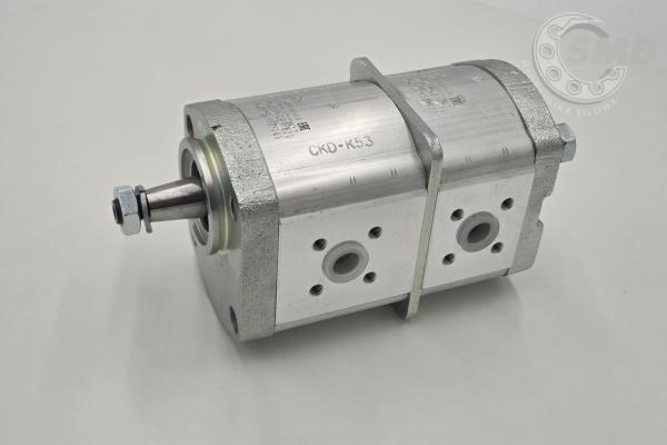 WPA09A2 - AZPFF-12-016/005RCP2020KB-S0007 0510665189 POMPA ZĘBATA CKD 2.0. 5090661571 1803620